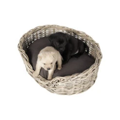 51 Degrees North Rattan Basket -Heimtierbedarf Verkauf 51 degrees north rattan basket 209954 0500 none