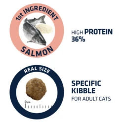 Affinity Advance Adult Salmon Sensitive - Katze -Heimtierbedarf Verkauf affinity advance adult salmon sensitive kat 178669 0500 none