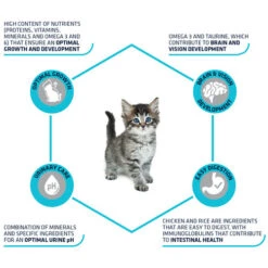 Affinity Advance Kitten Huhn Und Reis -Heimtierbedarf Verkauf affinity advance kitten kip en rijst kat 178231 0500 none