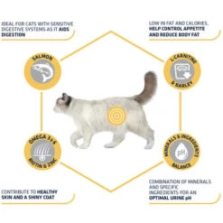 Affinity Advance Sterilized Salmon Sensitive - Katze 16 Affinity Advance Sterilized Salmon Sensitive - Katze -Heimtierbedarf Verkauf affinity advance sterilized salmon sensitive kat 178282 0500 none