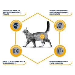 Affinity Advance Veterinary Diets Renal Katze -Heimtierbedarf Verkauf affinity advance veterinary diets renal kat 176884 0500 none