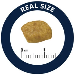 Affinity Advance Veterinary Diets Renal Katze -Heimtierbedarf Verkauf affinity advance veterinary diets renal kat 176890 0500 none