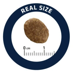 Affinity Advance Veterinary Diets Urinary Katze -Heimtierbedarf Verkauf affinity advance veterinary diets urinary kat 176911 0500 none