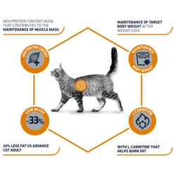 Affinity Advance Veterinary Diets Weight Balance Katze -Heimtierbedarf Verkauf affinity advance veterinary diets weight balance kat 178093 0500 none