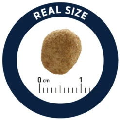 Affinity Advance Veterinary Diets Weight Balance Katze -Heimtierbedarf Verkauf affinity advance veterinary diets weight balance kat 178099 0500 none