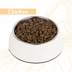 Antelope Fresh Adult Hundefutter -Heimtierbedarf Verkauf antelope fresh adult hondenvoer 219962 0500 none