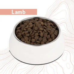 Antelope Fresh Adult Hundefutter -Heimtierbedarf Verkauf antelope fresh adult hondenvoer 219964 0500 none