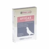 Avicas 1 Avicas -Heimtierbedarf Verkauf avicas 216756 0500 none