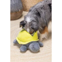 Beeztees Hide And Seek Schildo -Heimtierbedarf Verkauf beeztees hide and seek schildo 221788 0500 none