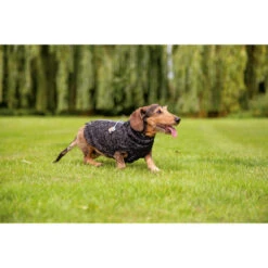 Beeztees Hundepullover Celia -Heimtierbedarf Verkauf beeztees hondentrui celia 219140 0500 none
