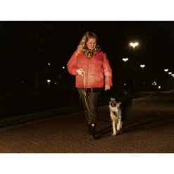 Beeztees Safety Gear Parinca Premium Halsband -Heimtierbedarf Verkauf beeztees safety gear parinca premium halsband 215009 0500 none