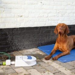 Beeztees Splashy Water Fountain -Heimtierbedarf Verkauf beeztees splashy waterfontein 163285 0500 none