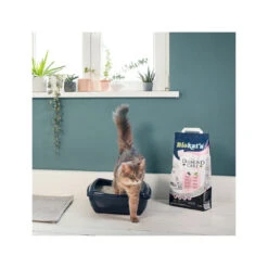Biokat's Diamond Care - Katzenstreu -Heimtierbedarf Verkauf biokats diamond care 157370 0500 none