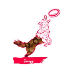 Calibra Dog Expert Nutrition Energy -Heimtierbedarf Verkauf calibra dog expert nutrition energy 163534 0500 none