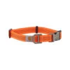 Carhartt Tradesman Hundehalsband 2 Carhartt Tradesman Hundehalsband -Heimtierbedarf Verkauf carhartt tradesman dog collar 186577 0500 none