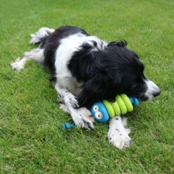 Coockoo Larry -Heimtierbedarf Verkauf coockoo larry 216712 0500 none