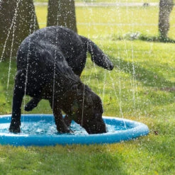 CoolPets Splash Pool Water Sprinkler -Heimtierbedarf Verkauf coolpets splash pool sproeier 174286 0500 none