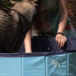 CoolPets Hundepool -Heimtierbedarf Verkauf coolpets zwembad 198134 0500 none