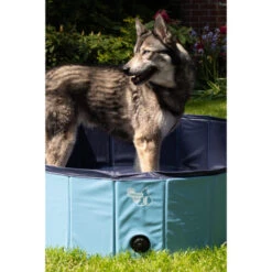 CoolPets Hundepool -Heimtierbedarf Verkauf coolpets zwembad 198140 0500 none