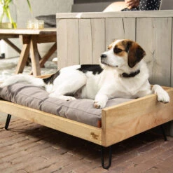 Designed By Lotte Hundebett Turana 6 Designed By Lotte Hundebett Turana -Heimtierbedarf Verkauf designed by lotte ligmand turana 170029 0500 none