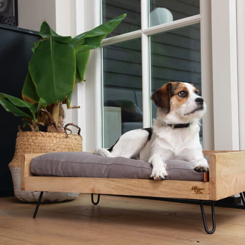 Designed By Lotte Hundebett Turana 5 Designed By Lotte Hundebett Turana – Bild 3