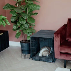 District 70 Sherpa Liegematte 19 District 70 Sherpa Liegematte -Heimtierbedarf Verkauf district 70 sherpa bench mat 191723 0500 none