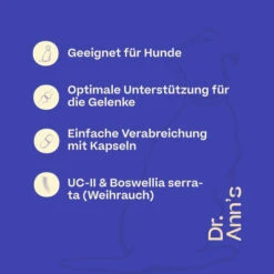 Dr. Ann's Mobility Support Advanced -Heimtierbedarf Verkauf dr anns mobility support advanced 213137 0500 none