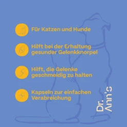 Dr. Ann's Mobility Support Plus -Heimtierbedarf Verkauf dr anns mobility support plus 203063 0500 none