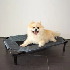 Duvo+ Hundeliege Relax -Heimtierbedarf Verkauf duvo hondenstretcher relax 199796 0500 none