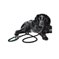 DWAM Hundeleine Long John -Heimtierbedarf Verkauf dwam hondenriem long john 166357 0500 none