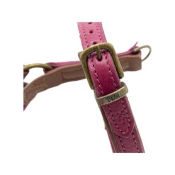 DWAM Hundegeschirr Lou Lou -Heimtierbedarf Verkauf dwam hondentuigje lou lou 182158 0500 none