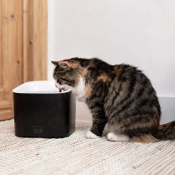 Ebi Manoa Katzenbrunnen -Heimtierbedarf Verkauf ebi manoa drinkfontein 221800 0500 none