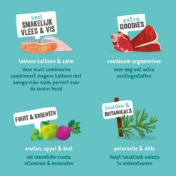 Edgard & Cooper Adult - Lachs Und Truthahn - Schale -Heimtierbedarf Verkauf edgard cooper adult zalm kalkoen kuipje 208619 0500 none