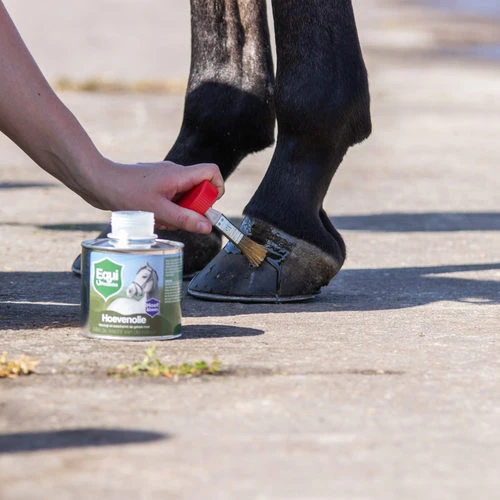 Equi Protecta Huföl 4 Equi Protecta Huföl – Bild 2