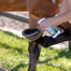 Equi Protecta Huf-Spray 7 Equi Protecta Huf-Spray -Heimtierbedarf Verkauf equi protecta hoevenspray 161273 0500 none