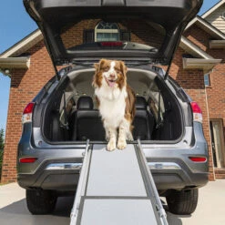Happy Ride Telescoping Pet Ramp Deluxe -Heimtierbedarf Verkauf happy ride telescoping pet ramp deluxe 162499 0500 none