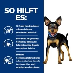 Hill's Metabolic Mini - Prescription Diet - Canine 14 Hill's Metabolic Mini - Prescription Diet - Canine -Heimtierbedarf Verkauf hills metabolic mini prescription diet canine 218076 0500 none
