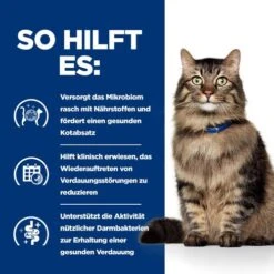 Hill's Prescription Diet - Gastrointestinal Biome - Ragout - Katze 12 Hill's Prescription Diet - Gastrointestinal Biome - Ragout - Katze -Heimtierbedarf Verkauf hills prescription diet gastrointestinal biome stoofpotje kattenvoer 211994 0500 none