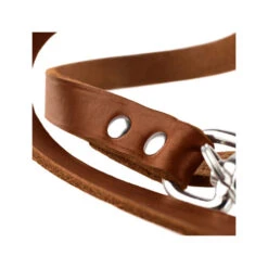 Hunter Trainingsleine - Braun 9 Hunter Trainingsleine - Braun -Heimtierbedarf Verkauf hunter trainingsriem bruin 175345 0500 none