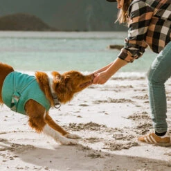 Hurtta Cooling Wrap - Hellblau 10 Hurtta Cooling Wrap - Hellblau -Heimtierbedarf Verkauf hurtta cooling wrap lichtblauw 178456 0500 none