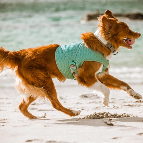 Hurtta Cooling Wrap - Hellblau 4 Hurtta Cooling Wrap - Hellblau – Bild 2