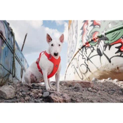 Hurtta Weekend Warrior Eco Geschirr -Heimtierbedarf Verkauf hurtta weekend warrior eco harness 189132 0500 none