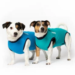 Jacketz Medical Body Suit Für Hunde -Heimtierbedarf Verkauf jacketz medical body suit hond 209516 0500 none
