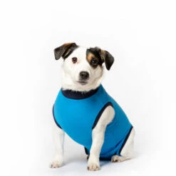 Jacketz Medical Body Suit Für Hunde -Heimtierbedarf Verkauf jacketz medical body suit hond 209522 0500 none