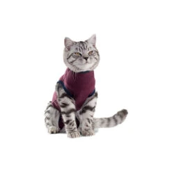 Jacketz Medical Body Suit Für Katzen -Heimtierbedarf Verkauf jacketz medical body suit kat 154129 0500 none