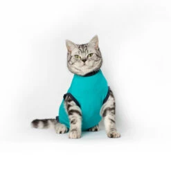 Jacketz Medical Body Suit Für Katzen -Heimtierbedarf Verkauf jacketz medical body suit kat 209789 0500 none