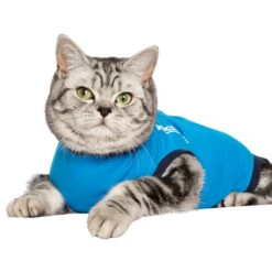 Jacketz Medical Body Suit Für Katzen -Heimtierbedarf Verkauf jacketz medical body suit kat 209792 0500 none