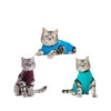 Jacketz Medical Body Suit Für Katzen 1 Jacketz Medical Body Suit Für Katzen -Heimtierbedarf Verkauf jacketz medical body suit kat 209795 0500 none