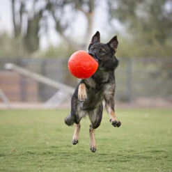 Jolly Soccer Ball -Heimtierbedarf Verkauf jolly soccer ball 162241 0500 none