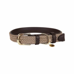 Kentucky Dogwear Nylon Hundehalsband 12 Kentucky Dogwear Nylon Hundehalsband -Heimtierbedarf Verkauf kentucky dogwear nylon hondenhalsband 219176 0500 none